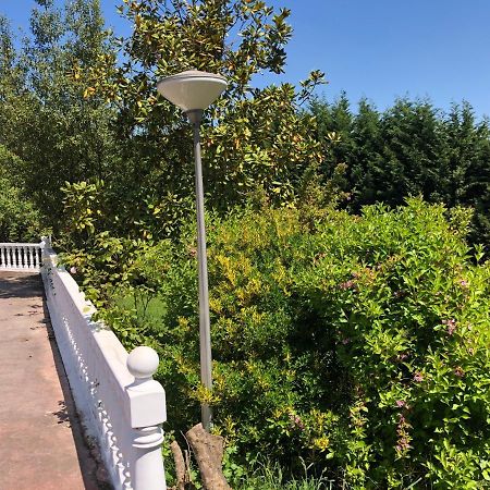 オビエド La Casona De La Carbayedaヴィラ エクステリア 写真